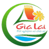 DL GIA LAI
